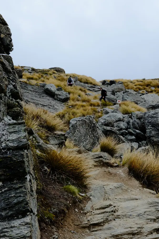 hikers climbing up a mountain trail, surrounded by large gray rocks and yellow shrubs.