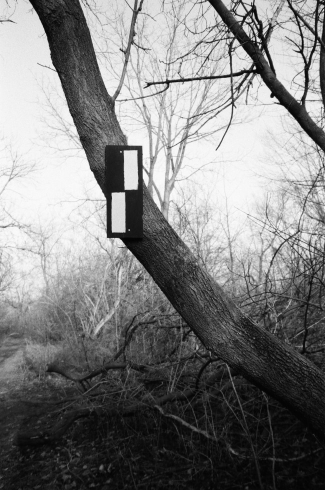 a hiking trail marker painted on a board, which is nailed on to a heavily leaning tree.